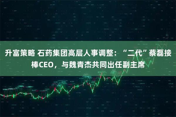 升富策略 石药集团高层人事调整：“二代”蔡磊接棒CEO，与魏青杰共同出任副主席