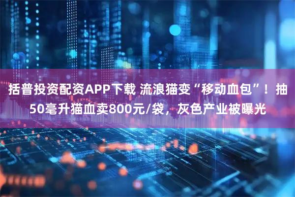 括普投资配资APP下载 流浪猫变“移动血包”！抽50毫升猫血卖800元/袋，灰色产业被曝光